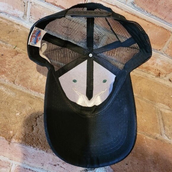 Madison Mallards Minor League Baseball Snapback Logo Trucker Hat Green Black - Picture 7 of 8